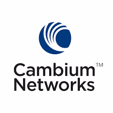 Cambium