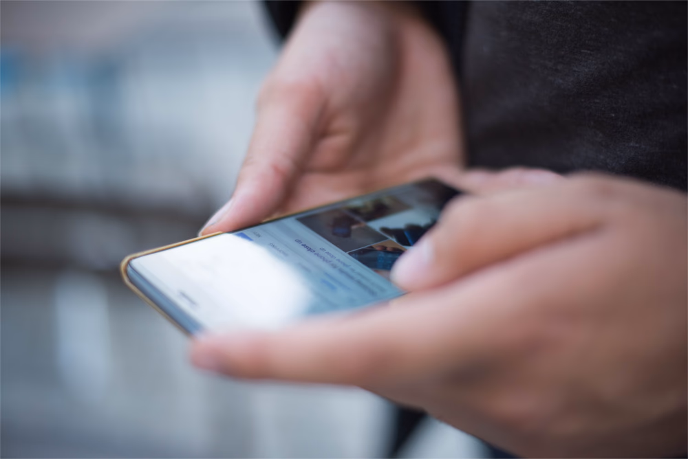 hand holding a phone which is accessing the internet